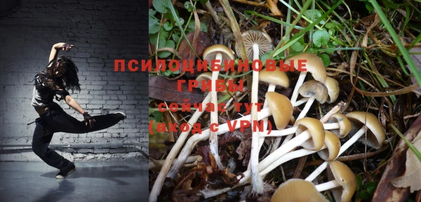 спиды Зерноград