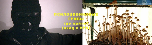 амф Зеленодольск