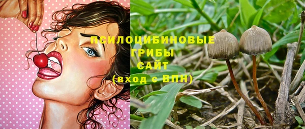 амф Зеленодольск