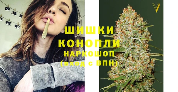 гидра Зеленокумск