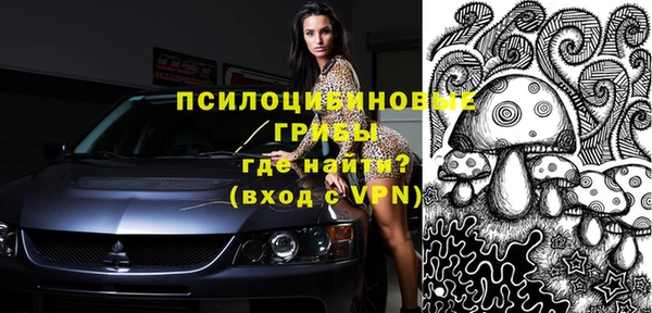 спиды Зерноград