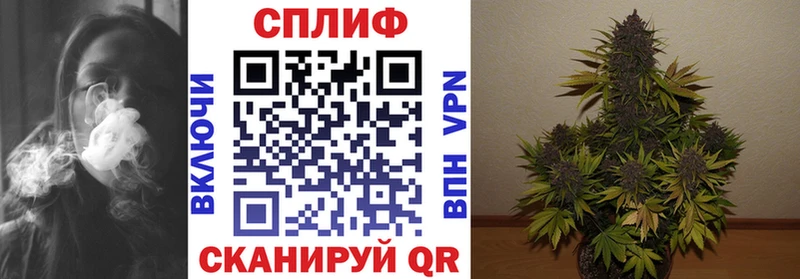 Бошки Шишки Ganja  Купить закладки  Гудермес 